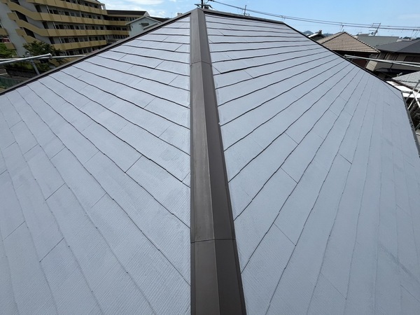 S__50855951_0_コピー