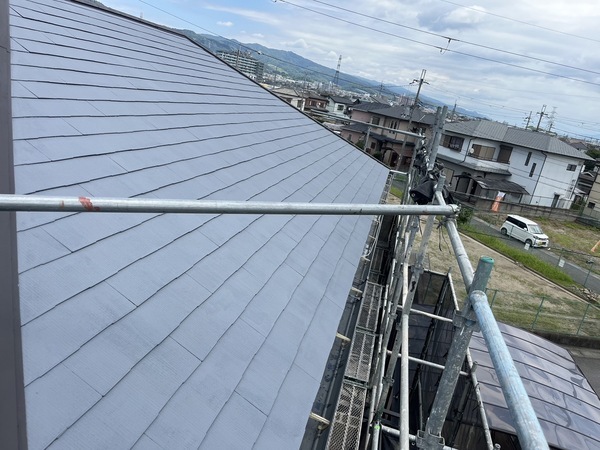 S__50855953_0_コピー