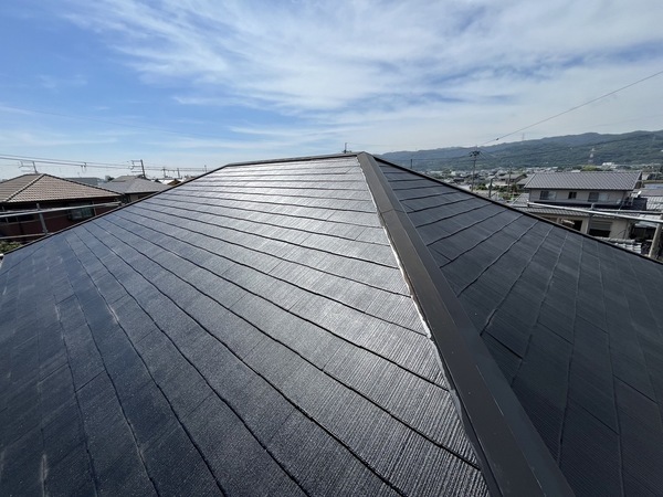 S__50839568_0_コピー