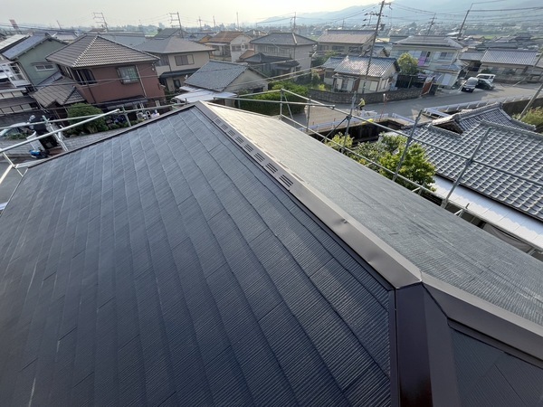 S__50839570_0_コピー