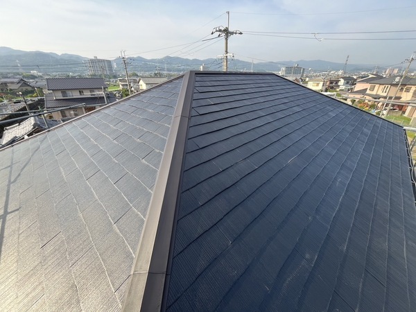 S__50839571_0_コピー