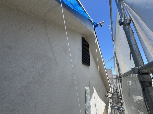 S__50880517_0_コピー