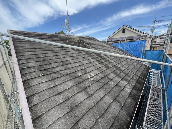 S__109330438_0_コピー