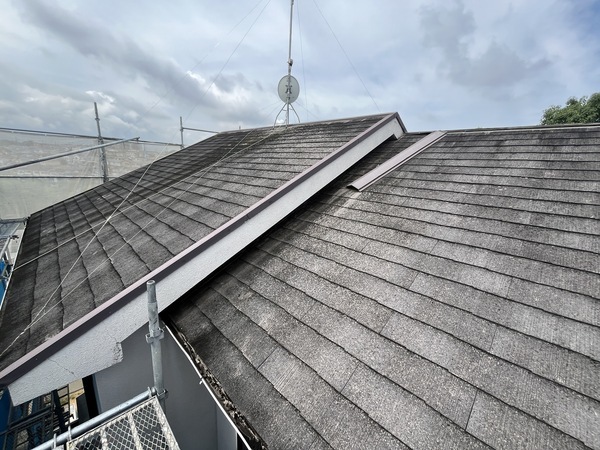 S__109330437_0_コピー