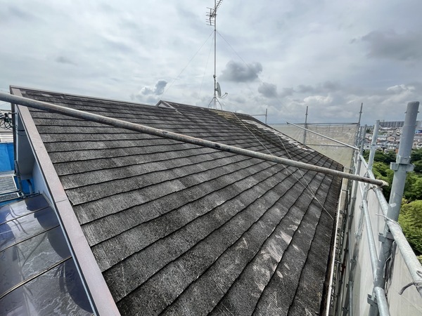 S__109330436_0_コピー