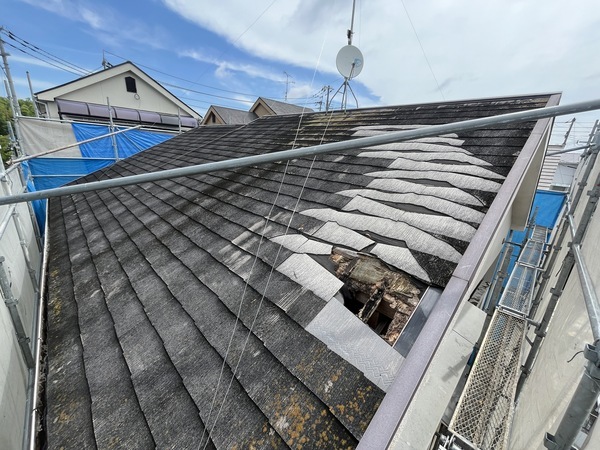 S__109330440_0_コピー