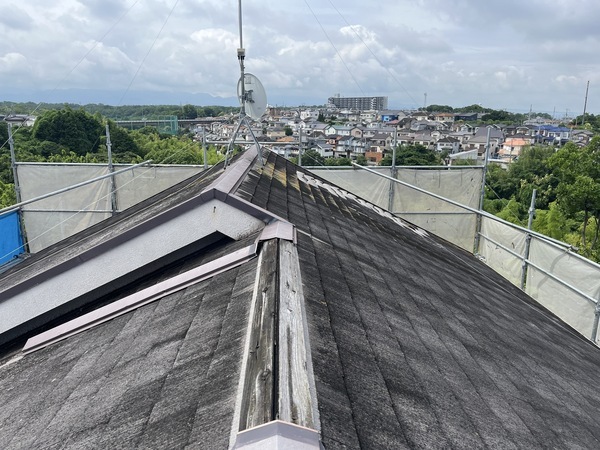 S__109330434_0_コピー