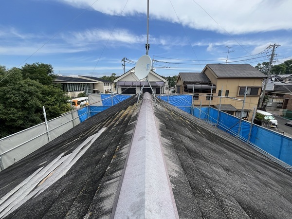 S__109330439_0_コピー