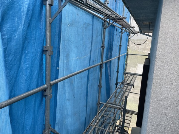 S__18014213_0_コピー