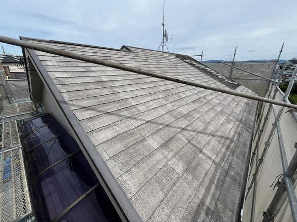 S__109346825_0_コピー