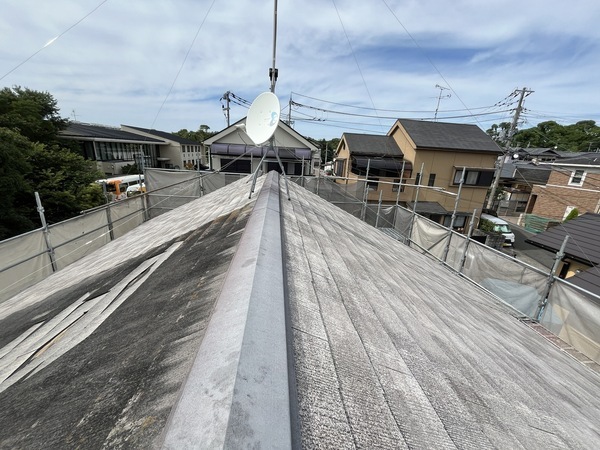 S__109346827_0_コピー