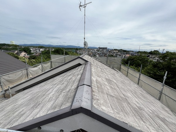 S__109346824_0_コピー