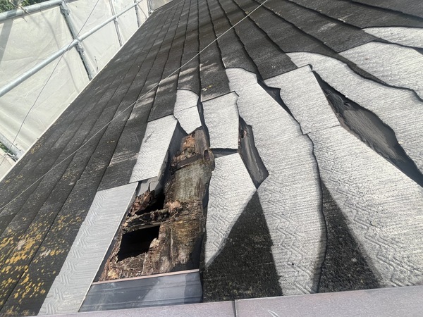 ECDC561A-C76C-4891-8312-949B7F3BC0FF_コピー