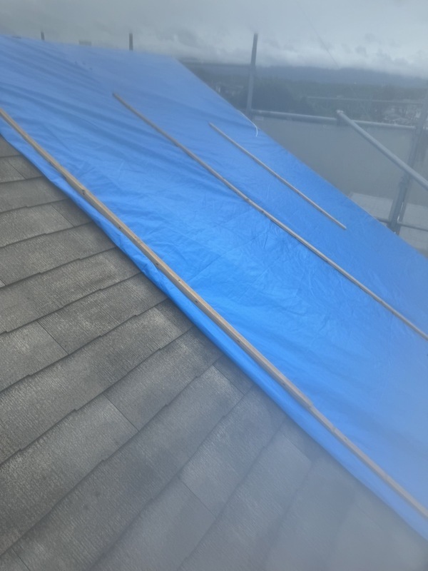 S__1196041_コピー