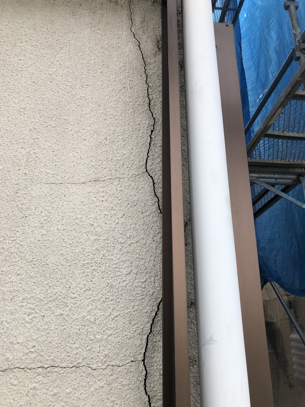 09929A62-B948-49B6-81FD-C7968CC69377_コピー