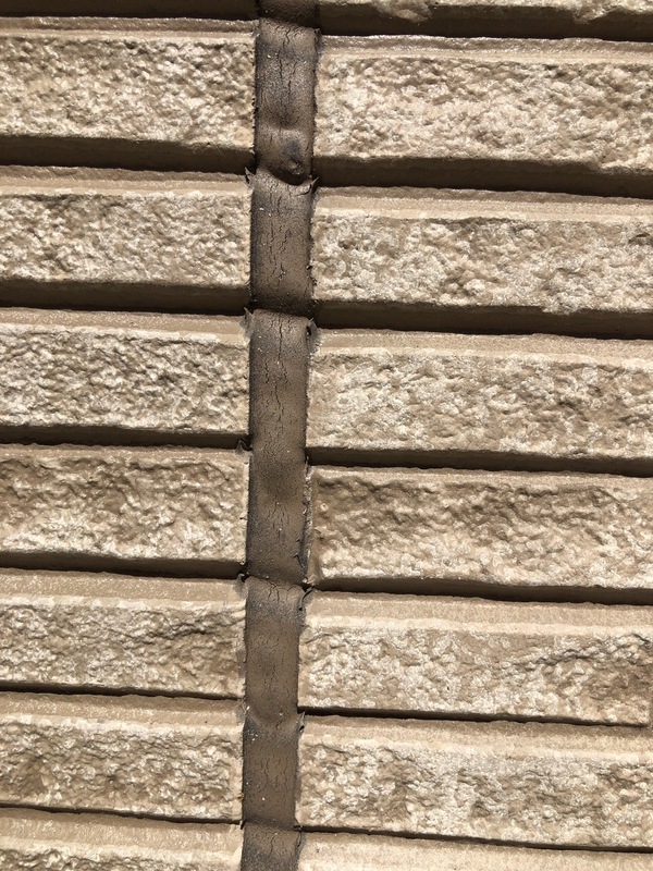 S__125067273_0_コピー