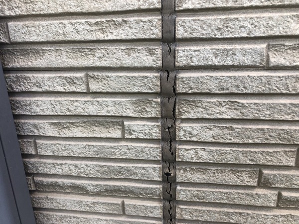 S__125067266_0_コピー