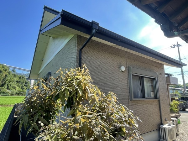 S__213794825_0_コピー