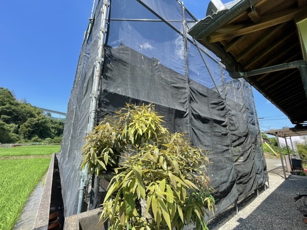 S__213794823_0_コピー