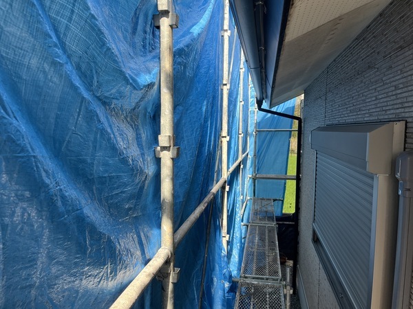 S__109527045_0_コピー