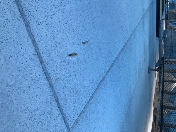 S__126033965_0_コピー