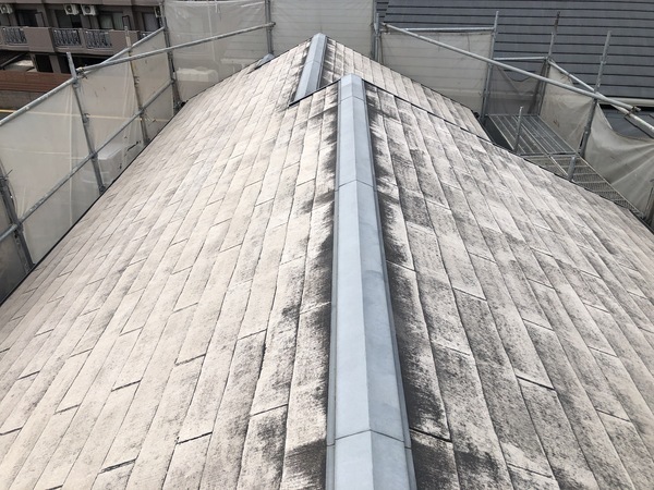 S__126042123_コピー