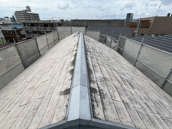 S__109854733_0_コピー