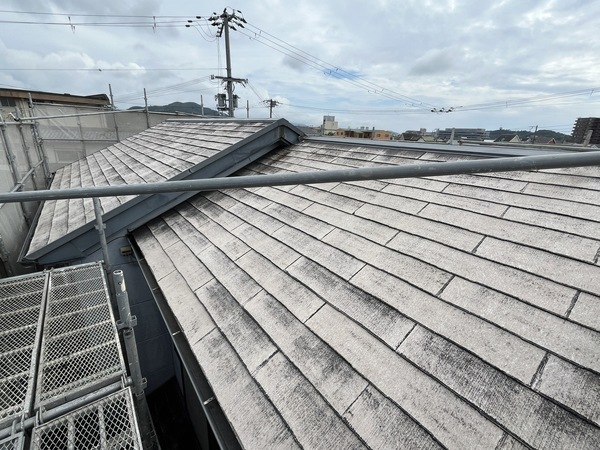 S__109854734_0_コピー