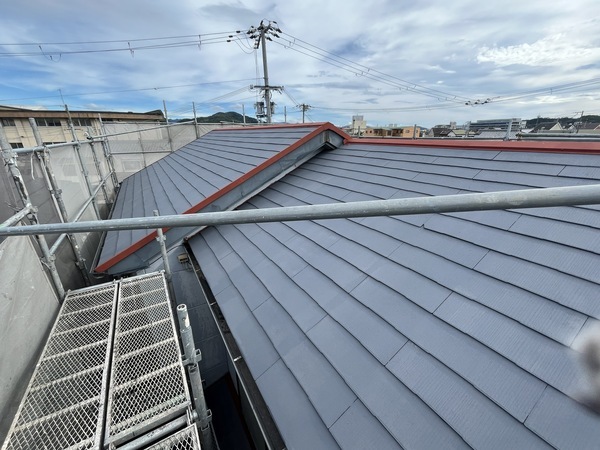 S__109903913_0_コピー