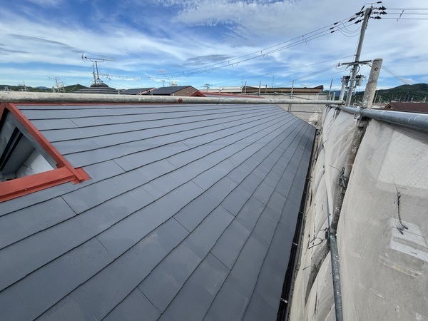 S__109903911_0_コピー