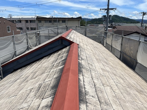 S__109903903_0_コピー