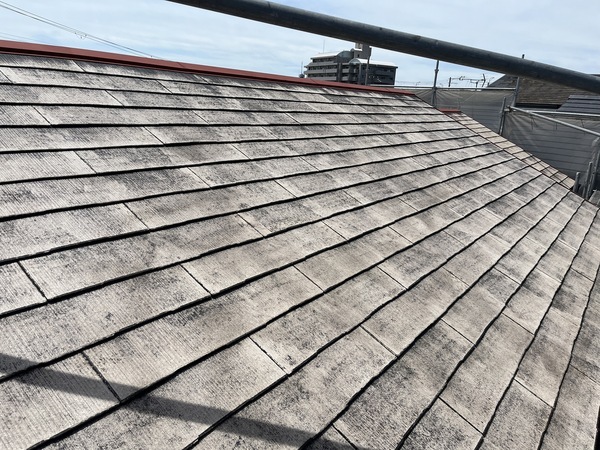 S__109903898_0_コピー