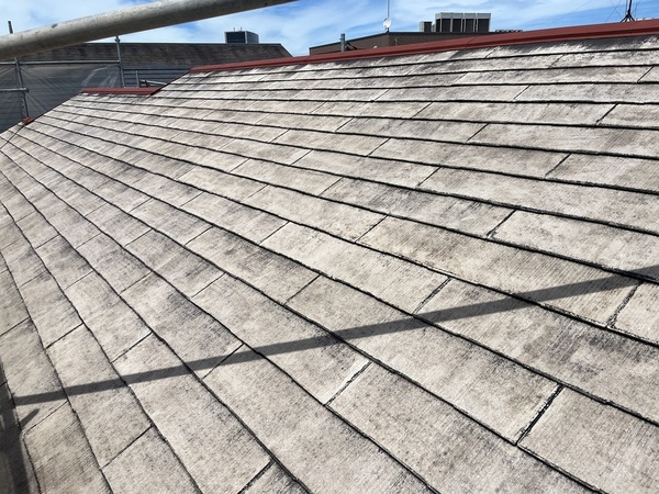 S__109903901_0_コピー