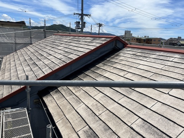 S__109903904_0_コピー