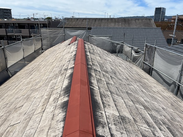 S__109903900_0_コピー