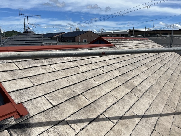 S__109903902_0_コピー