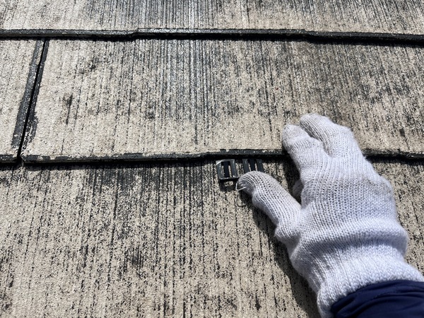 S__109903896_0_コピー