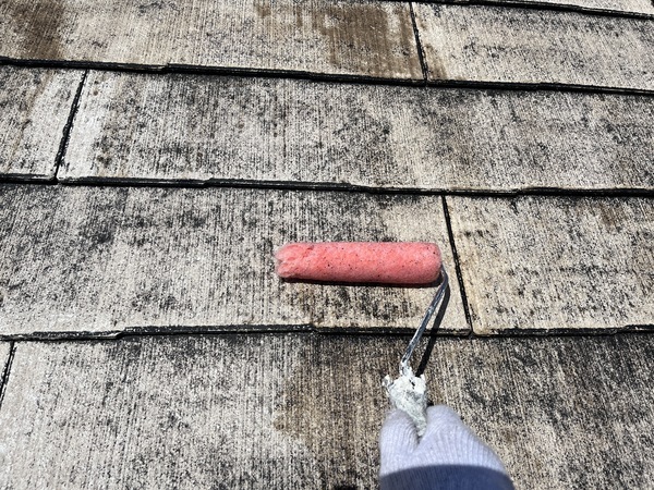 S__109903893_0_コピー