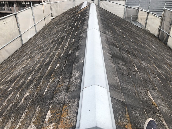 6F8CCBC6-6AFC-474E-B3A3-55F179DA7D5F_コピー