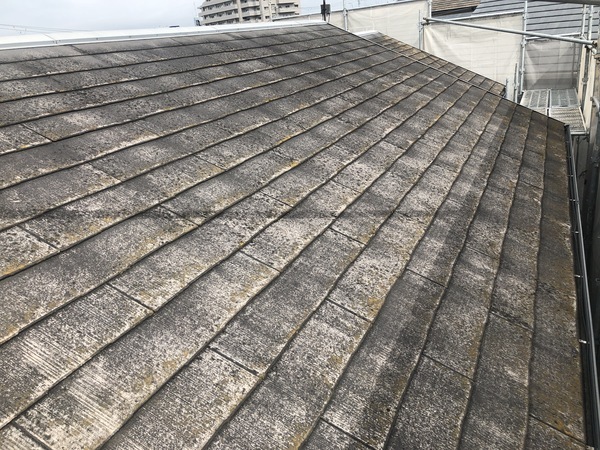 6F38B436-98CF-4ABD-B240-6544C7C49723_コピー