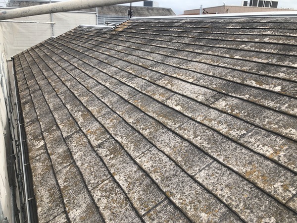 27D63476-C29C-44C9-8829-01C8293D97EC_コピー