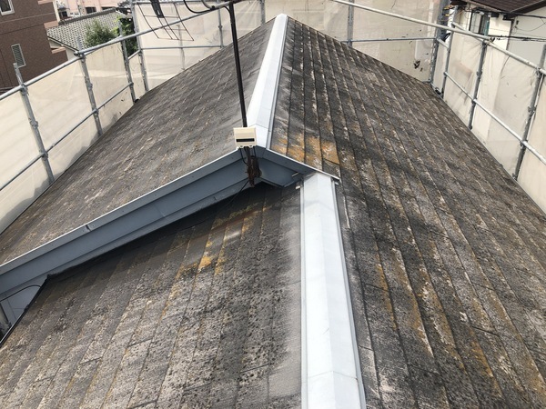 45DCF3E4-4E89-450E-B73B-573EC976D9E7_コピー