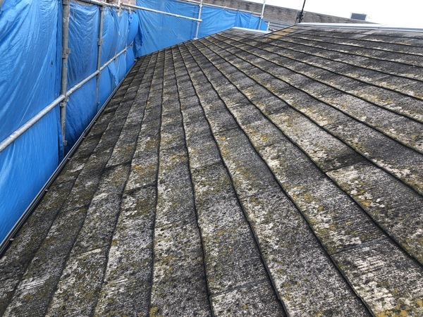 CA6C933A-674C-411D-BD11-D36CF67F653C_コピー