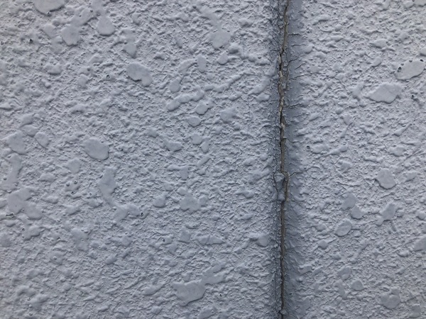 S__125861905_0_コピー