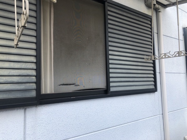 S__125861906_0_コピー