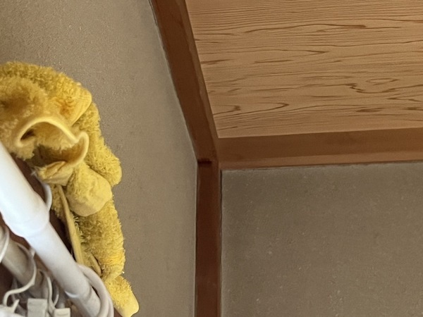 S__73039886_0_コピー