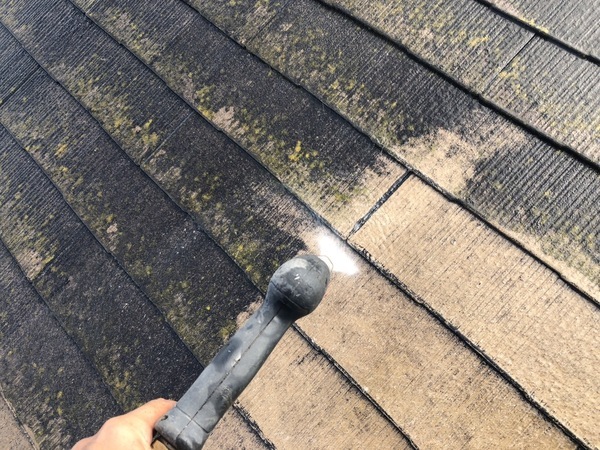 S__126033967_0_コピー