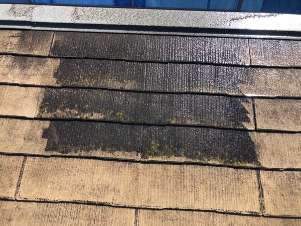 S__126033966_0_コピー