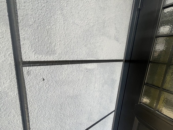 S__73048081_0_コピー