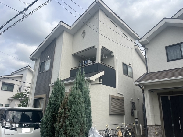 S__73211912_new_コピー